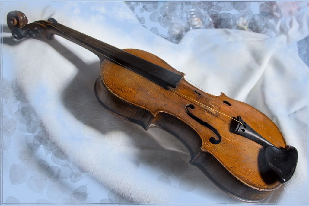 Violin by randystreat