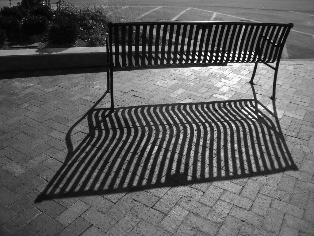 Bench by mcsiegle