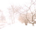 Winter Scene by mcsiegle