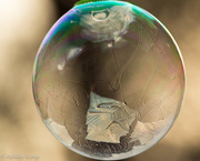 22nd Feb 2015 - Another bubble