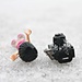 Lego Lady Photographer ~ Day 3 by judyc57