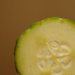 Slice of cucumber by novab
