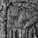 Church Tree & Shadows by tonygig