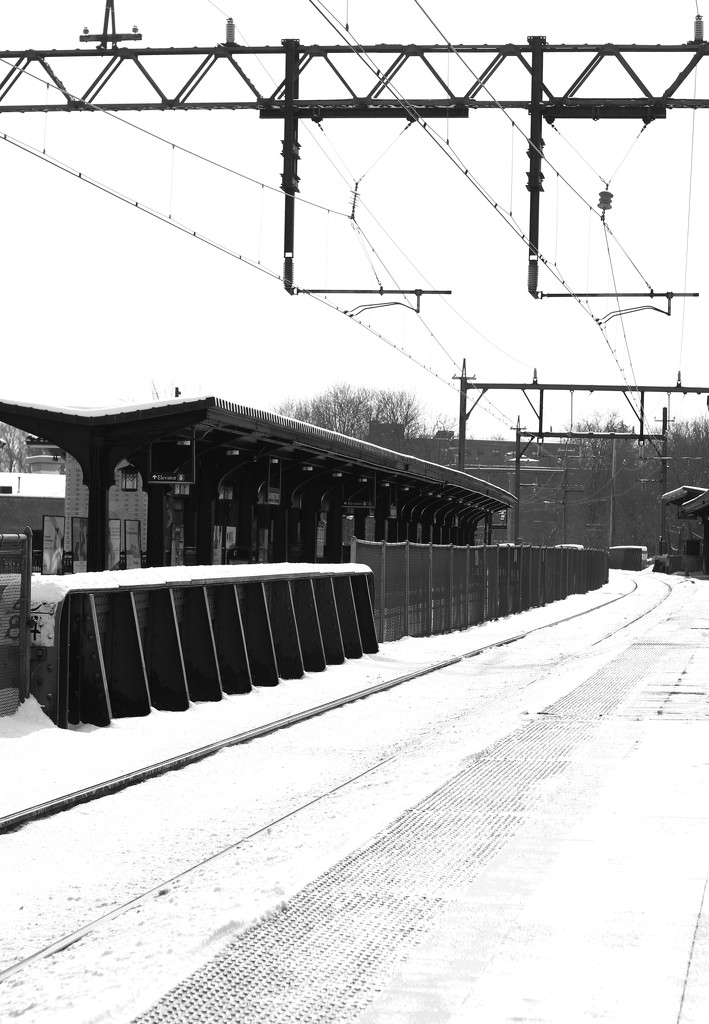 Morristown Train Tracks  by mzzhope