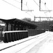Morristown Train Tracks  by mzzhope