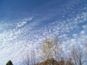 2nd Nov 2010 - Cottony Clouds