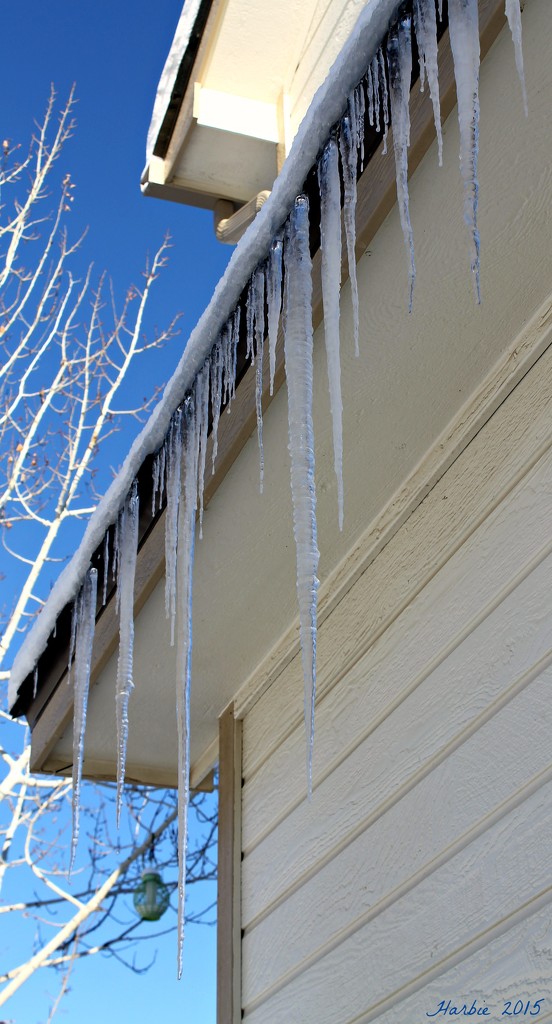 Icicles of All Sizes by harbie