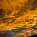 Colorado Sunset by taffy