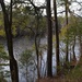 Along the Edisto River at Givhans Ferry State Park, Dorchester County, South Carolina by congaree