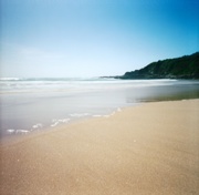 24th Feb 2015 - Potato Point beach