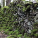 Mossy Wall .... (For Me) by motherjane