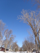 24th Feb 2015 - blue skies...