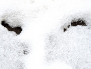 25th Feb 2015 - Face in the snow!