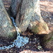 Secure-it-tree! by homeschoolmom