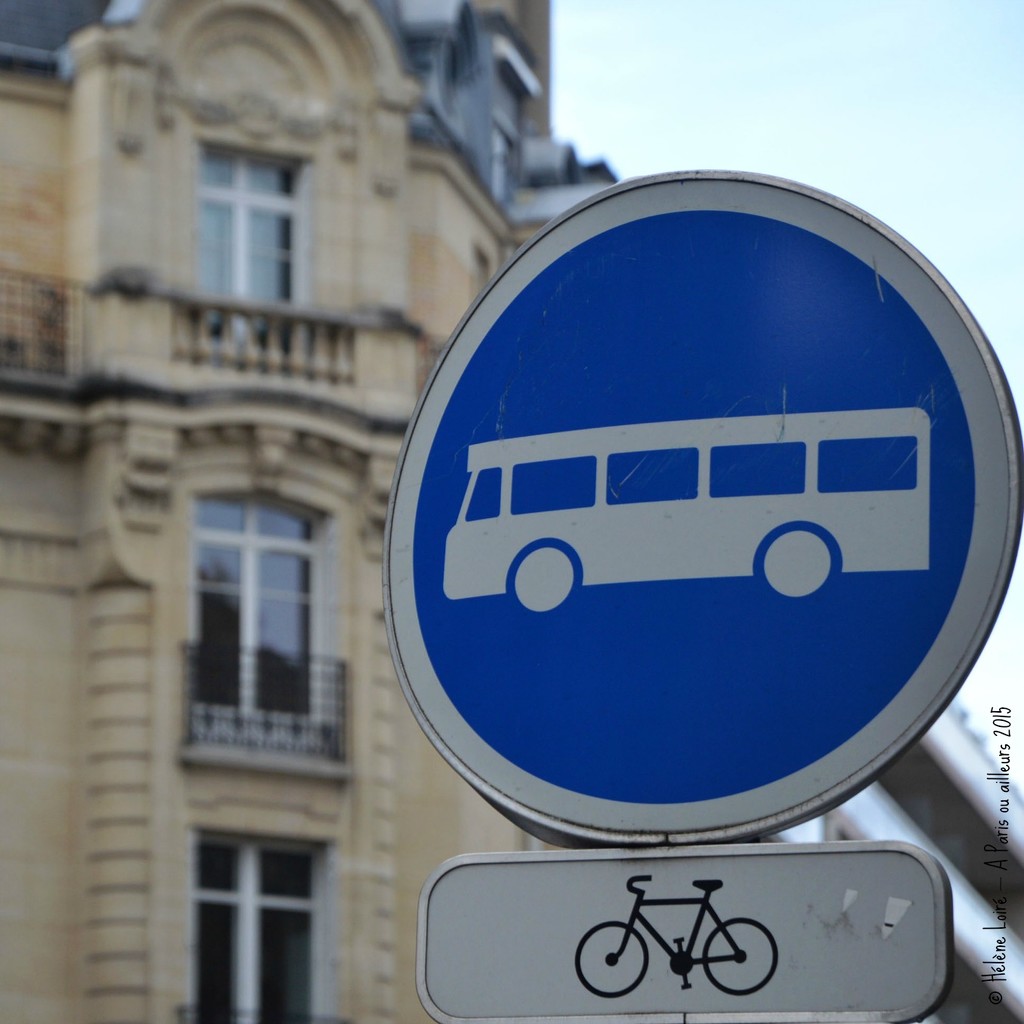 only for buses and bicycles  by parisouailleurs
