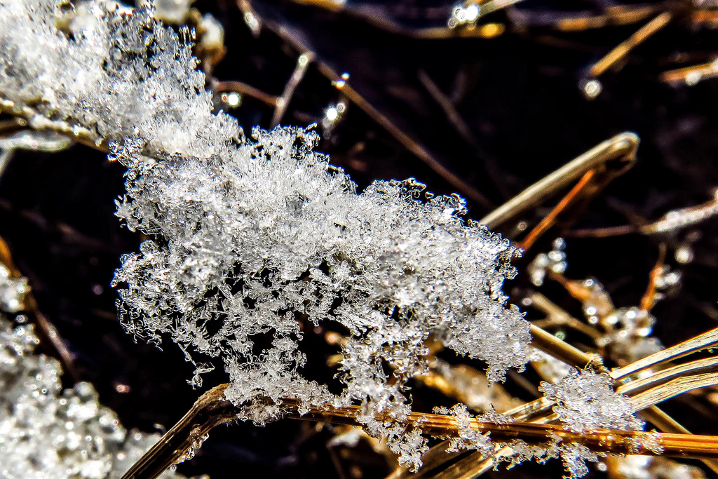 Hunting Ice Crystals by milaniet