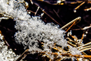 24th Feb 2015 - Hunting Ice Crystals