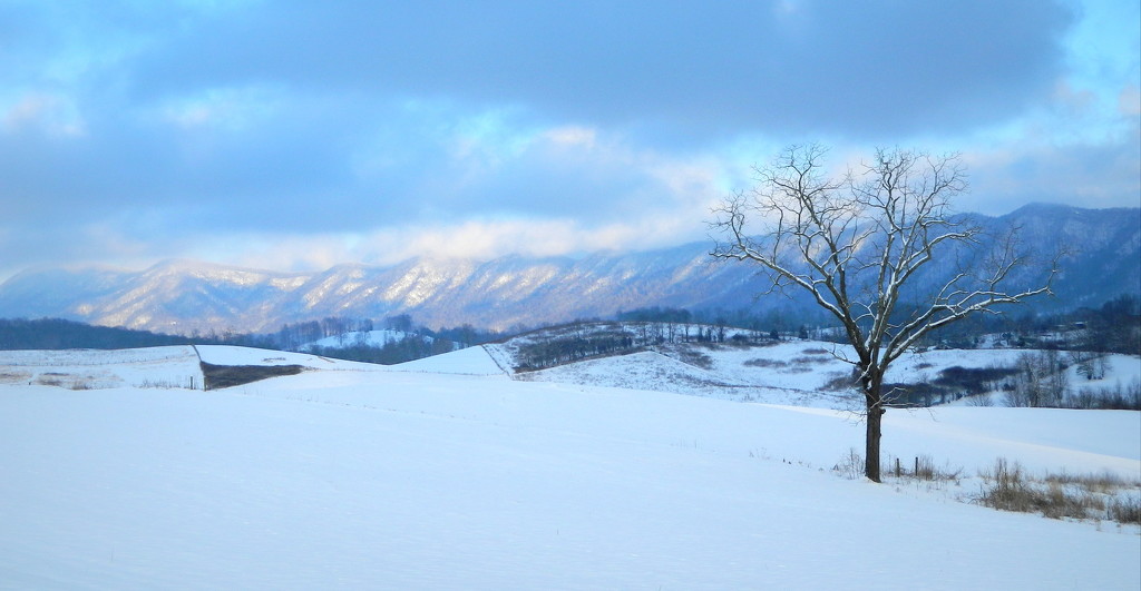 A Winter Landscape by calm