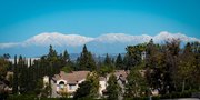 24th Feb 2015 - It Never Snows in California
