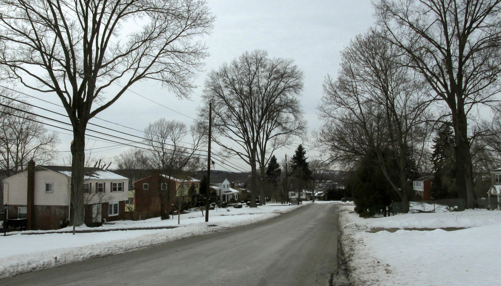 Street scene in winter by mittens