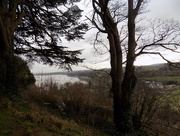 25th Feb 2015 - River Severn through the trees