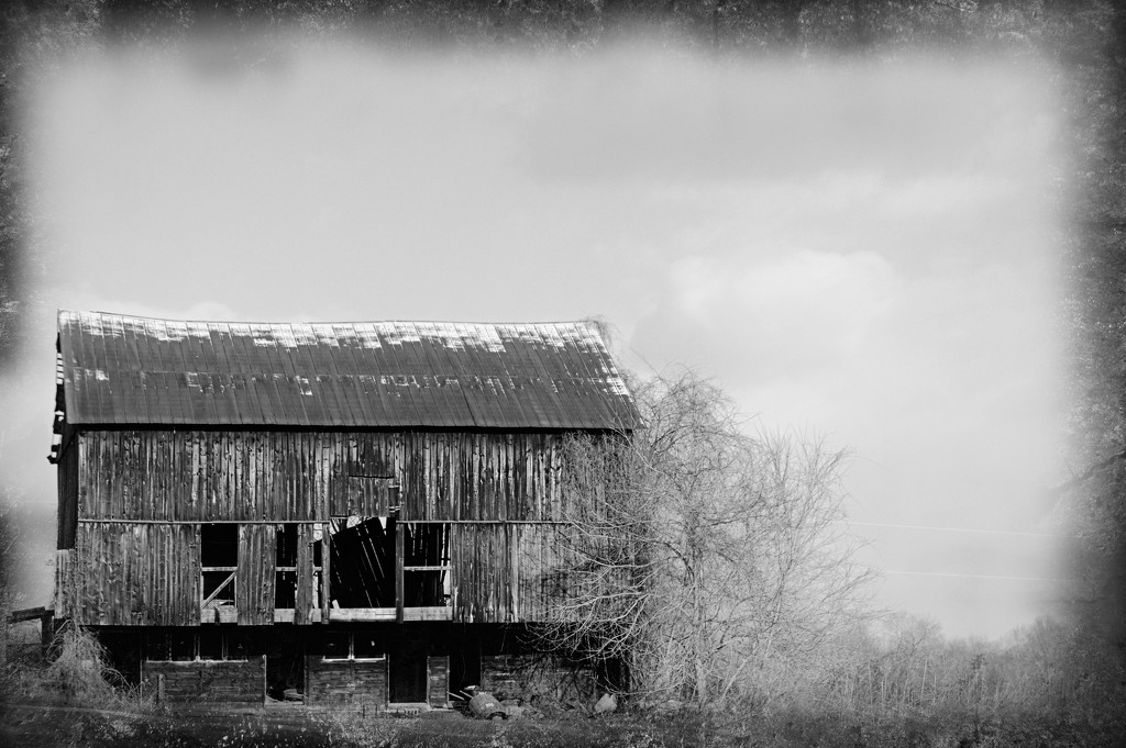 (former) Barn by the road by francoise
