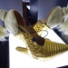 The Madonna shoes. by cocobella