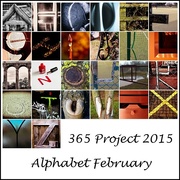 27th Feb 2015 -  27th February 2015 - Alphabet February Mosaic