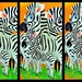 Zebra by wendyfrost