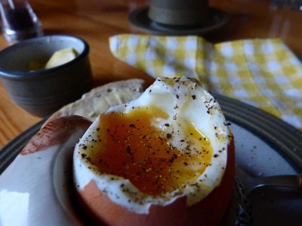 boiled egg for breakfast by quietpurplehaze