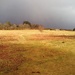 Rainbow just beginning to appear by jennymdennis
