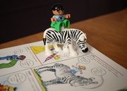 26th Feb 2015 - Z is for Zebra, Is Good Enough For Me!