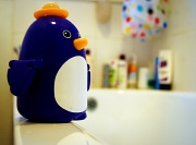 2nd Nov 2010 - Mr Penguin