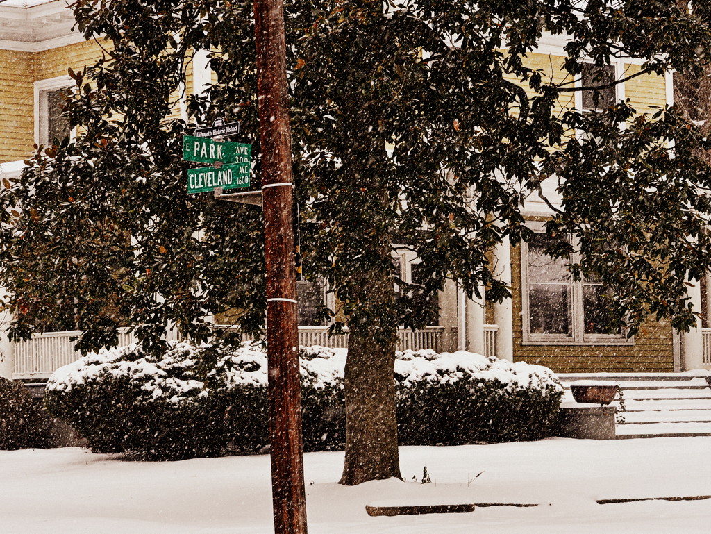 Snow at Park and Cleveland by peggysirk