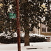 Snow at Park and Cleveland by peggysirk