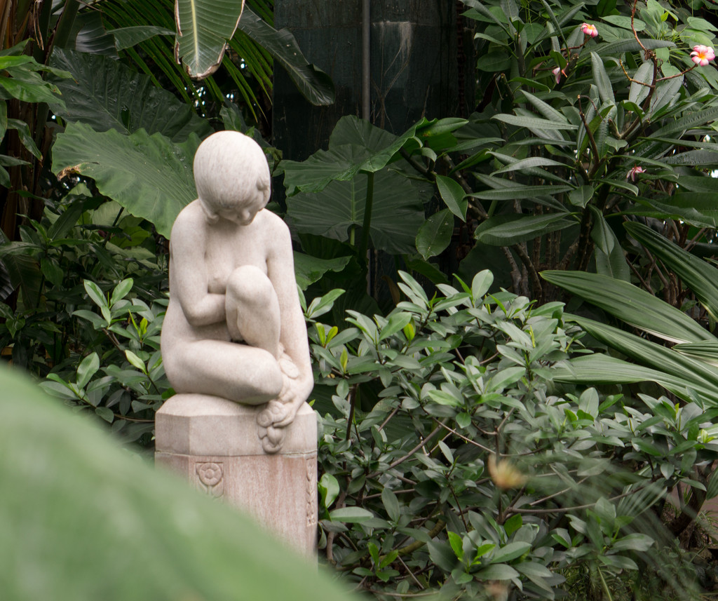 Statue at the Conservatory by rminer