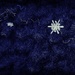 Stellar Dendrite Snowflake IV by mhei