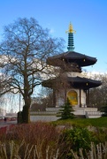 27th Feb 2015 - Peace Pagoda, Battersea Park