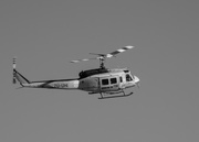 27th Feb 2015 - Fire Chopper