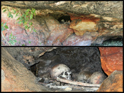 27th Feb 2015 - Day 8 - Aboriginal Burials Munurru