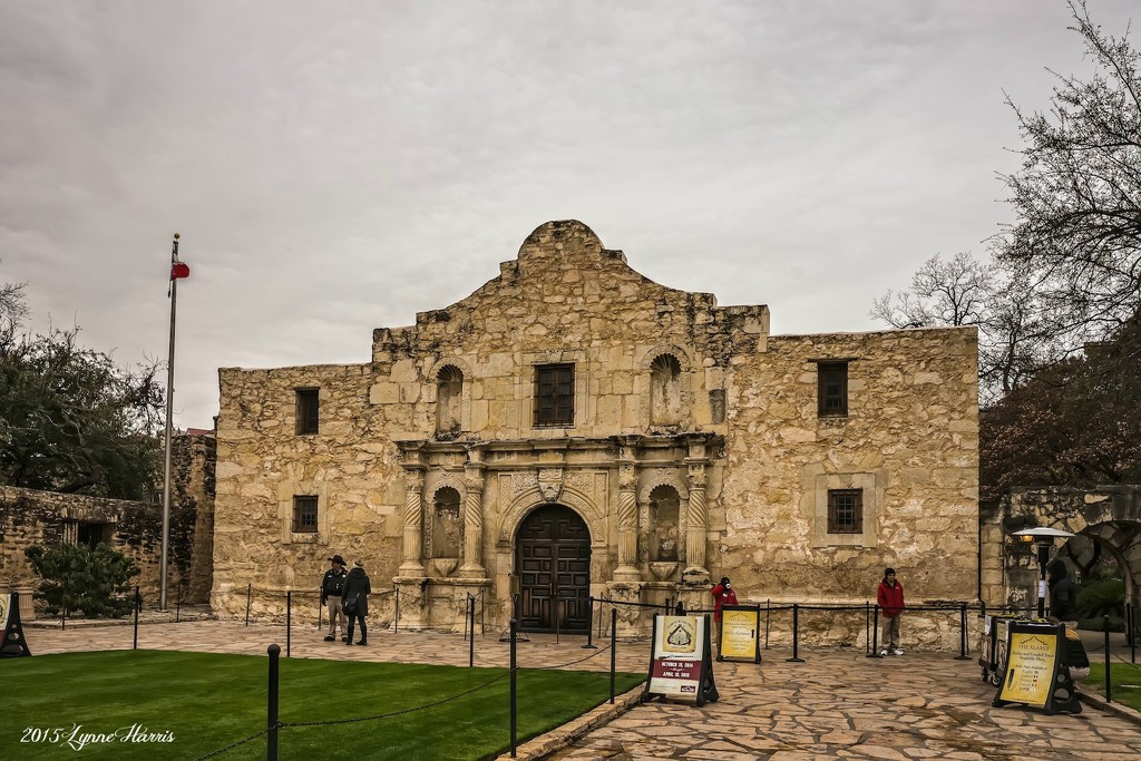Remember the Alamo! by lynne5477