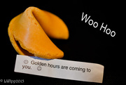 27th Feb 2015 - Best Fortune Cookie Ever 
