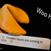 Best Fortune Cookie Ever  by lesip