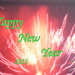 Happy New Year by marguerita
