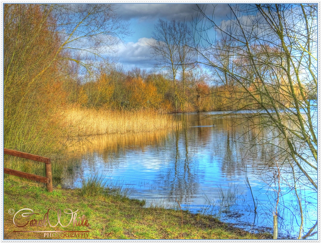 Peaceful Lake by carolmw