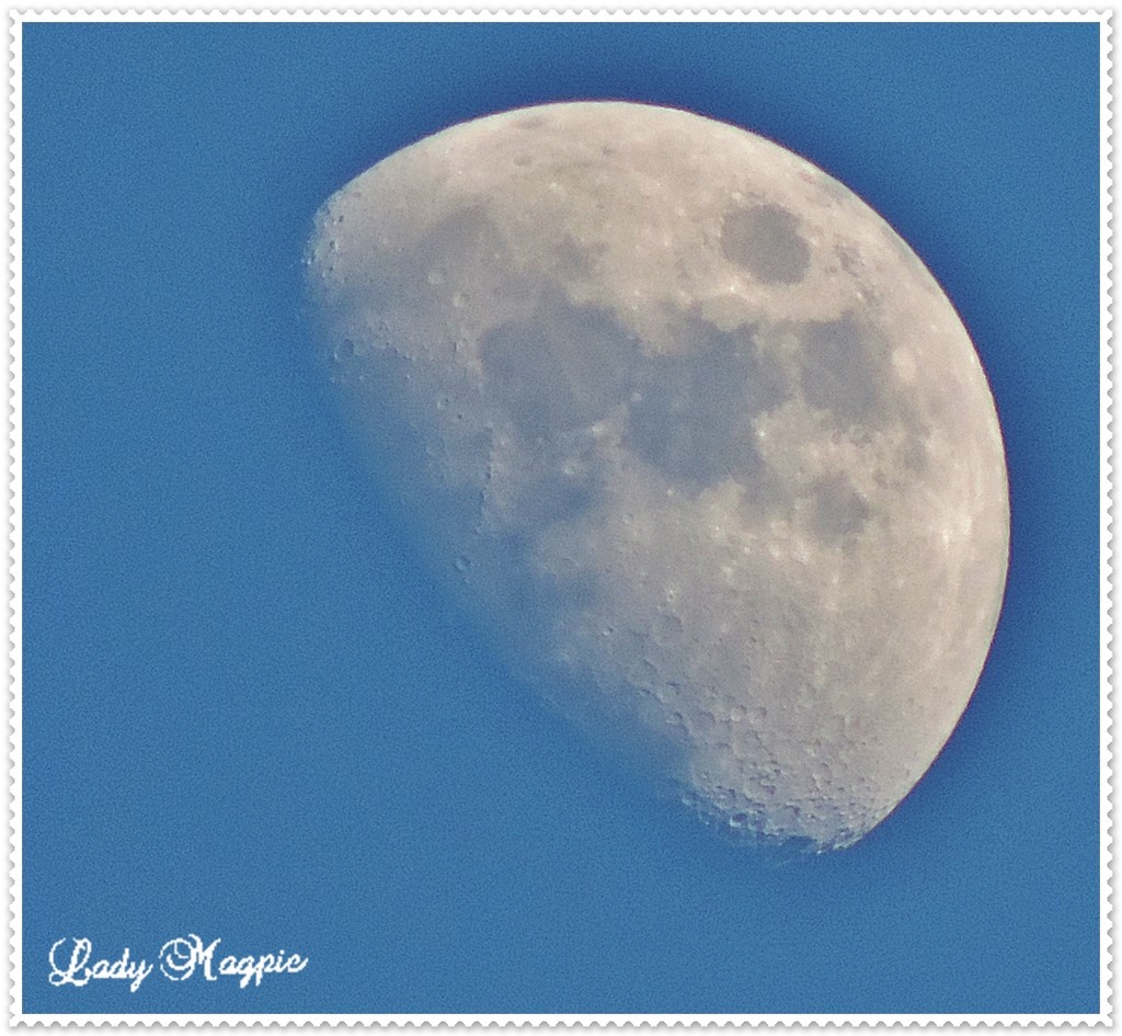 Daytime Moon by ladymagpie