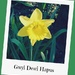 Gwyl Dewi Hapus - ( Happy St. David's Day ) by beryl
