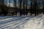 28th Feb 2015 - Cold shadows