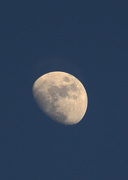 2nd Mar 2015 - Blue Moon
