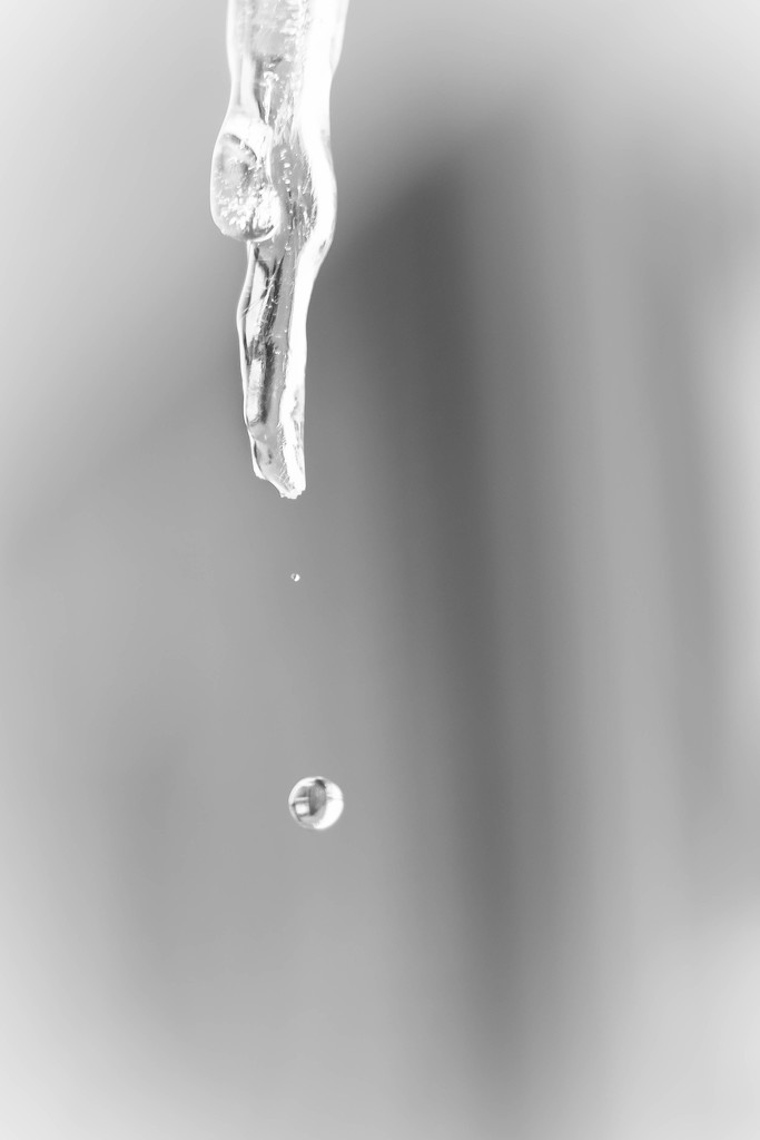 Icicle Droplet by ckwiseman